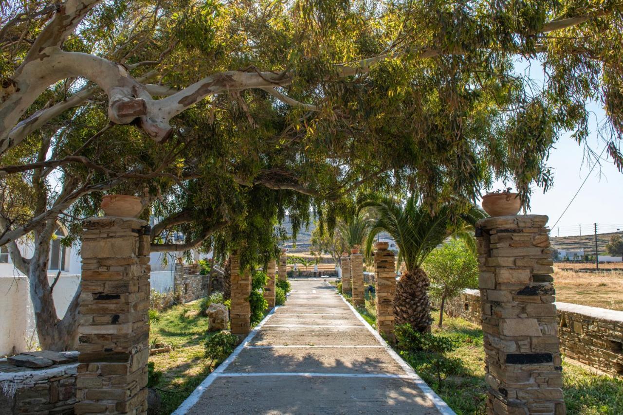 θἔρως Agios Sostis (Tinos)
